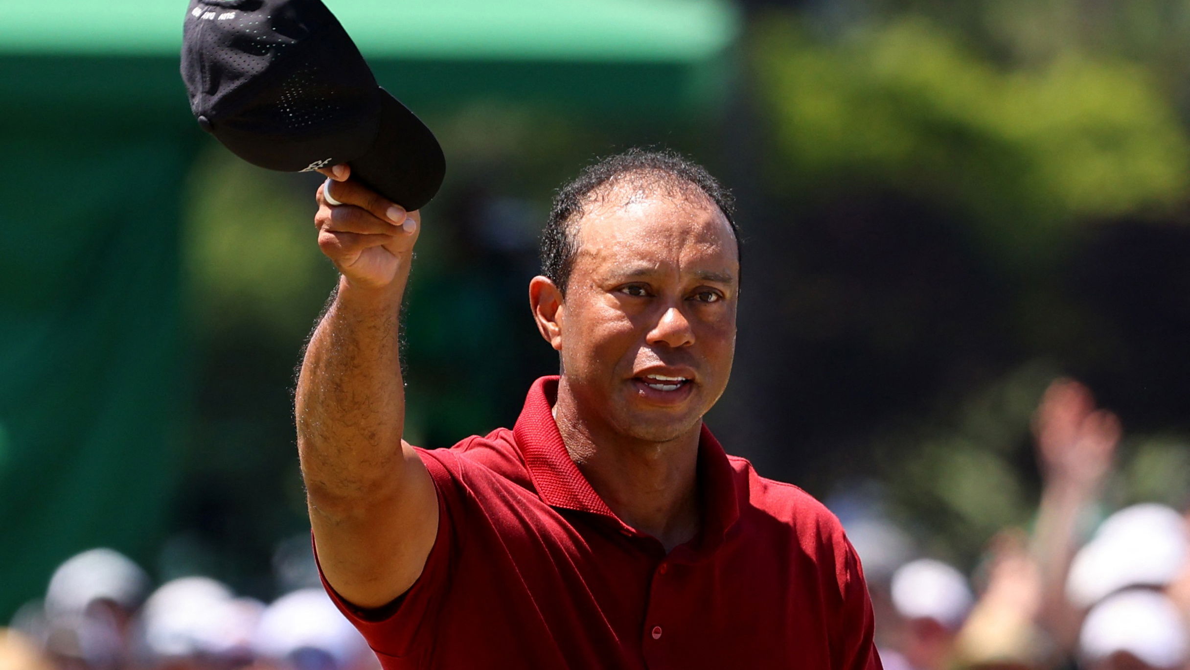 Tiger Woods