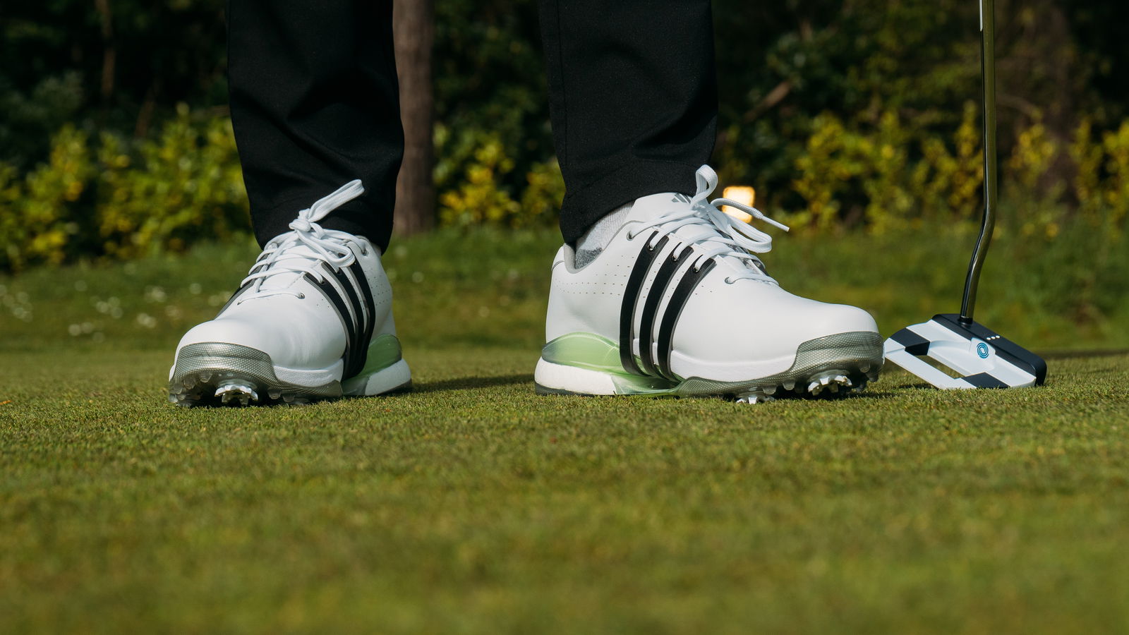 adidas TOUR360 24