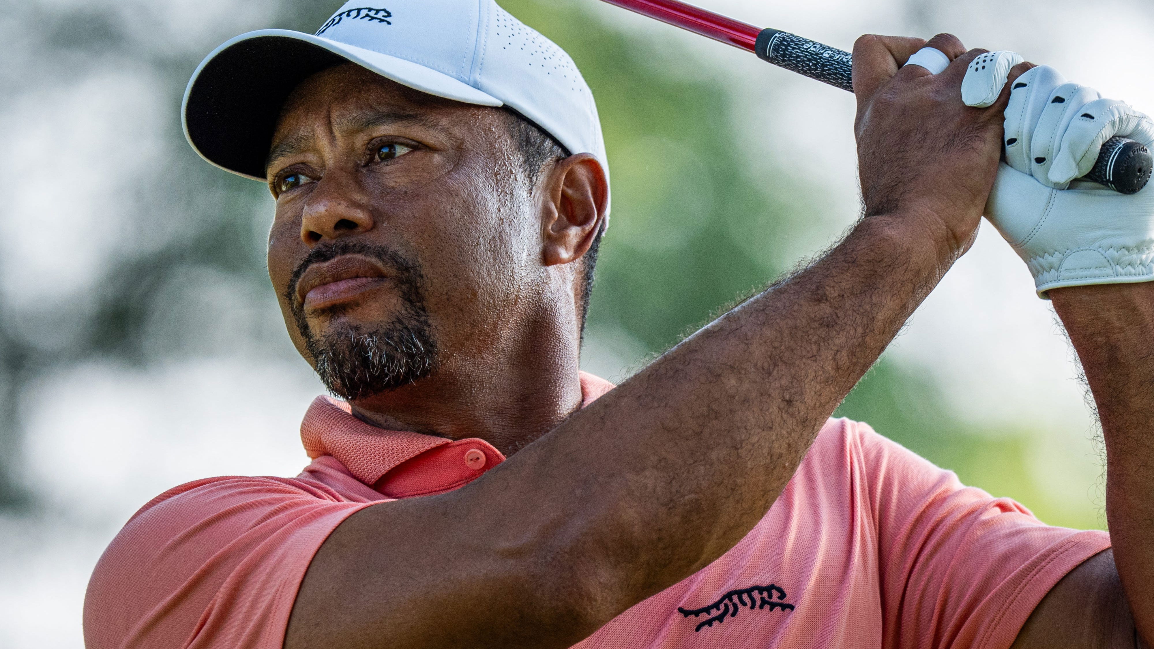 Tiger Woods