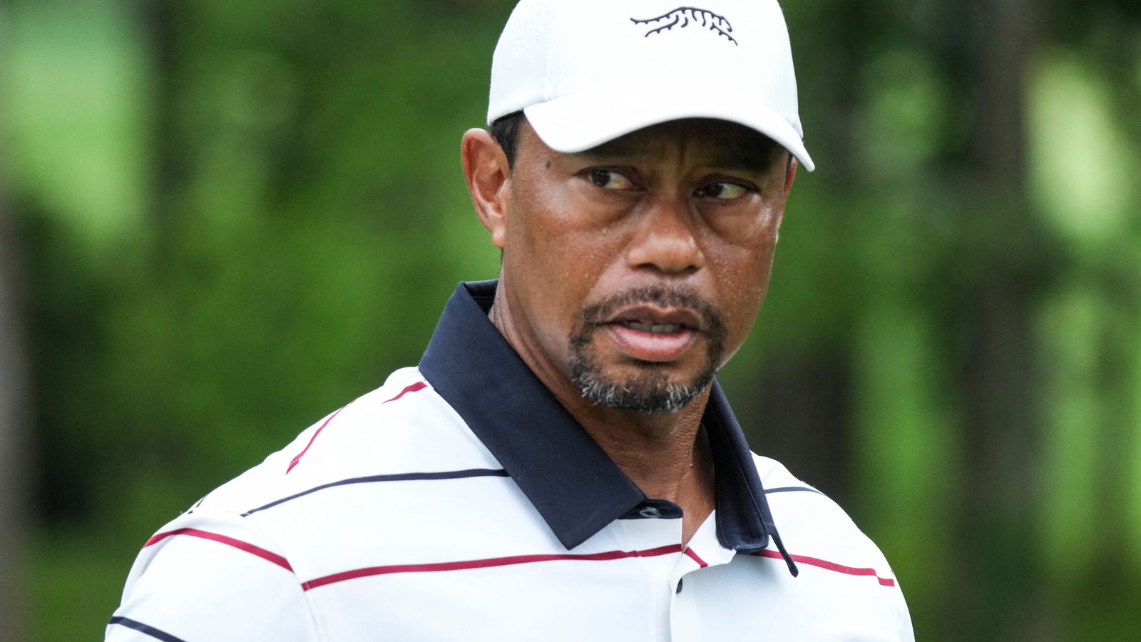 Tiger Woods