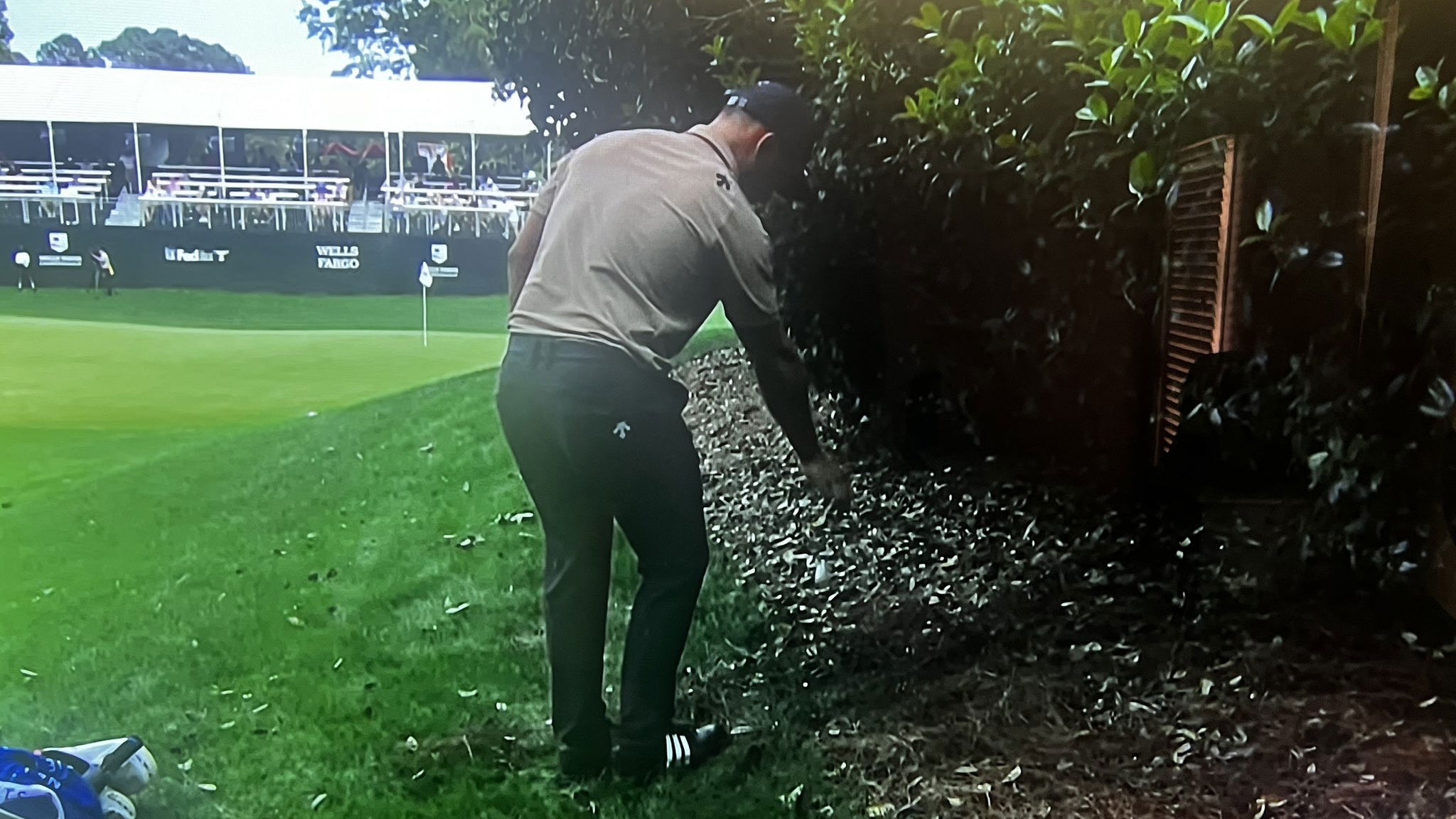 Xander Schauffele