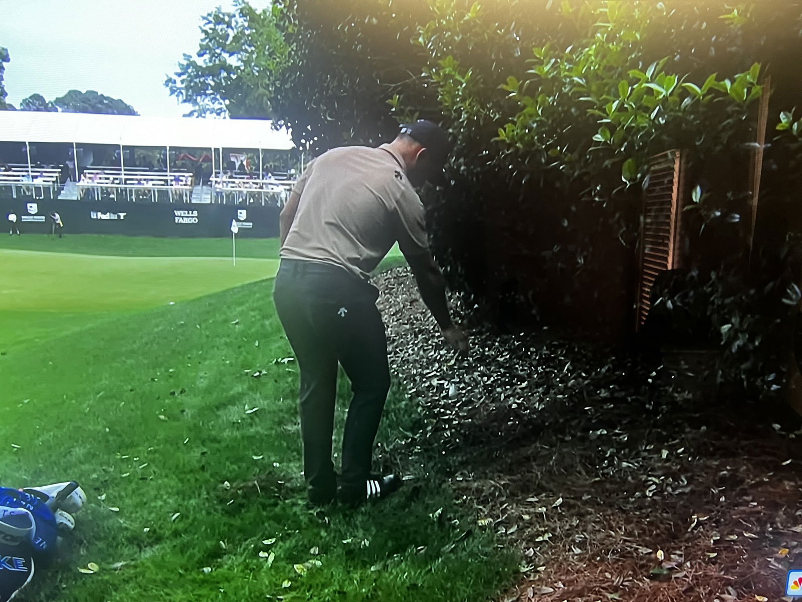 Xander Schauffele