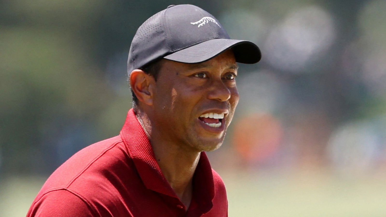 Tiger Woods