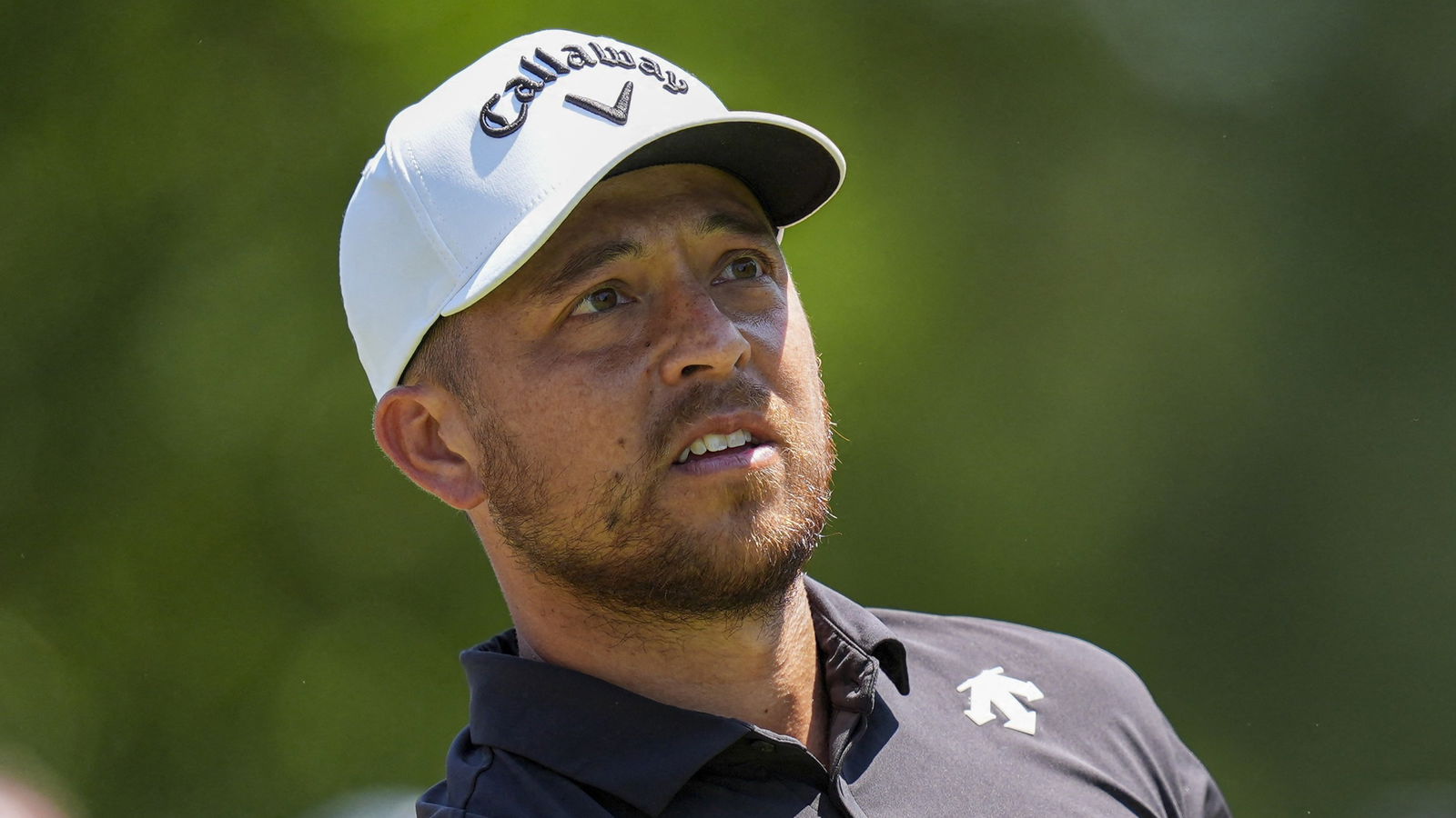 Xander Schauffele 