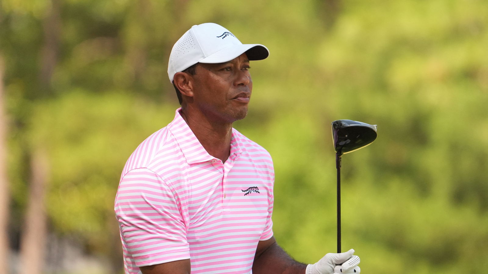 Tiger Woods