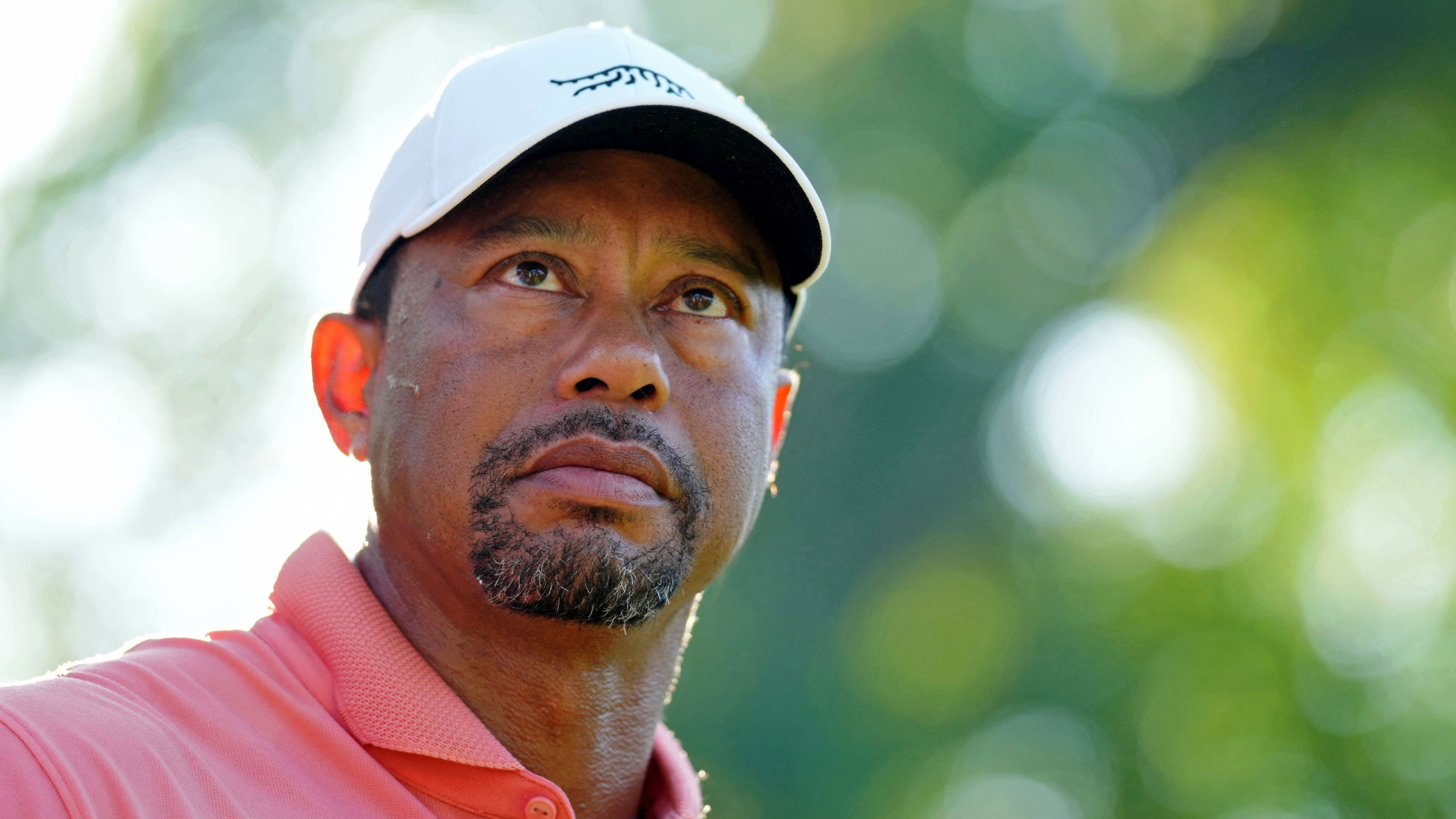 Tiger Woods 