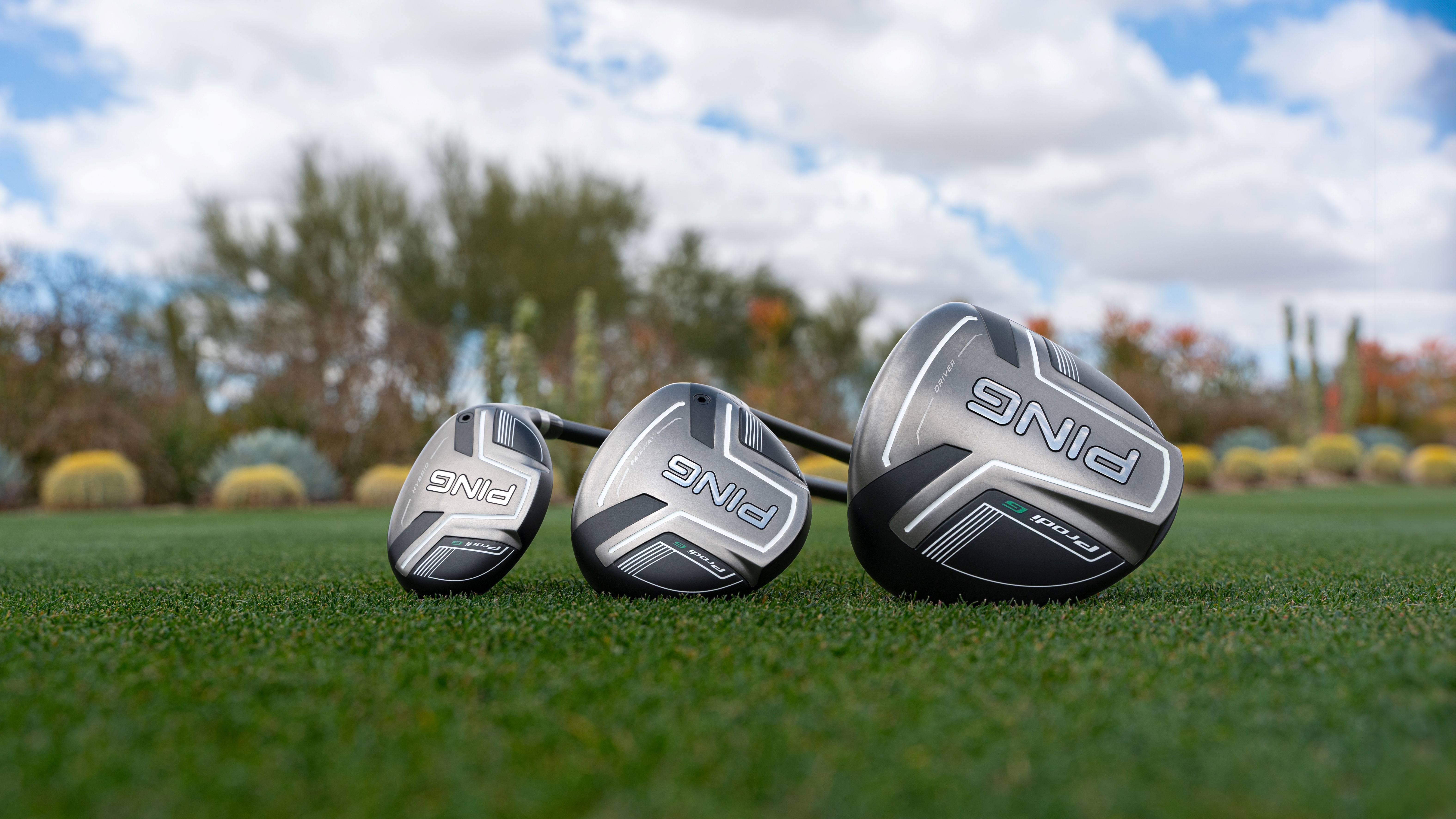 PING Prodi G