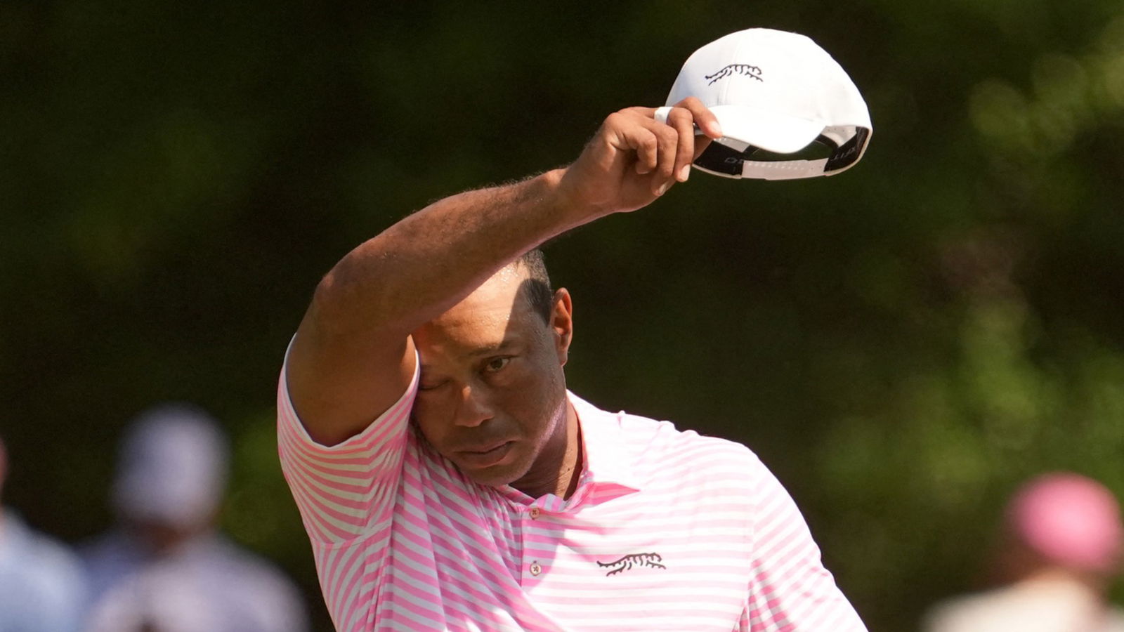 Tiger Woods will not be the next US Ryder Cup captain