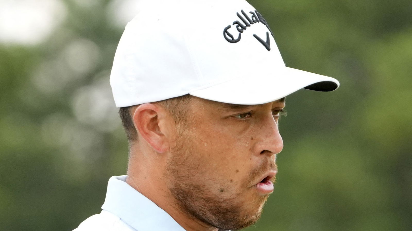 Xander Schauffele