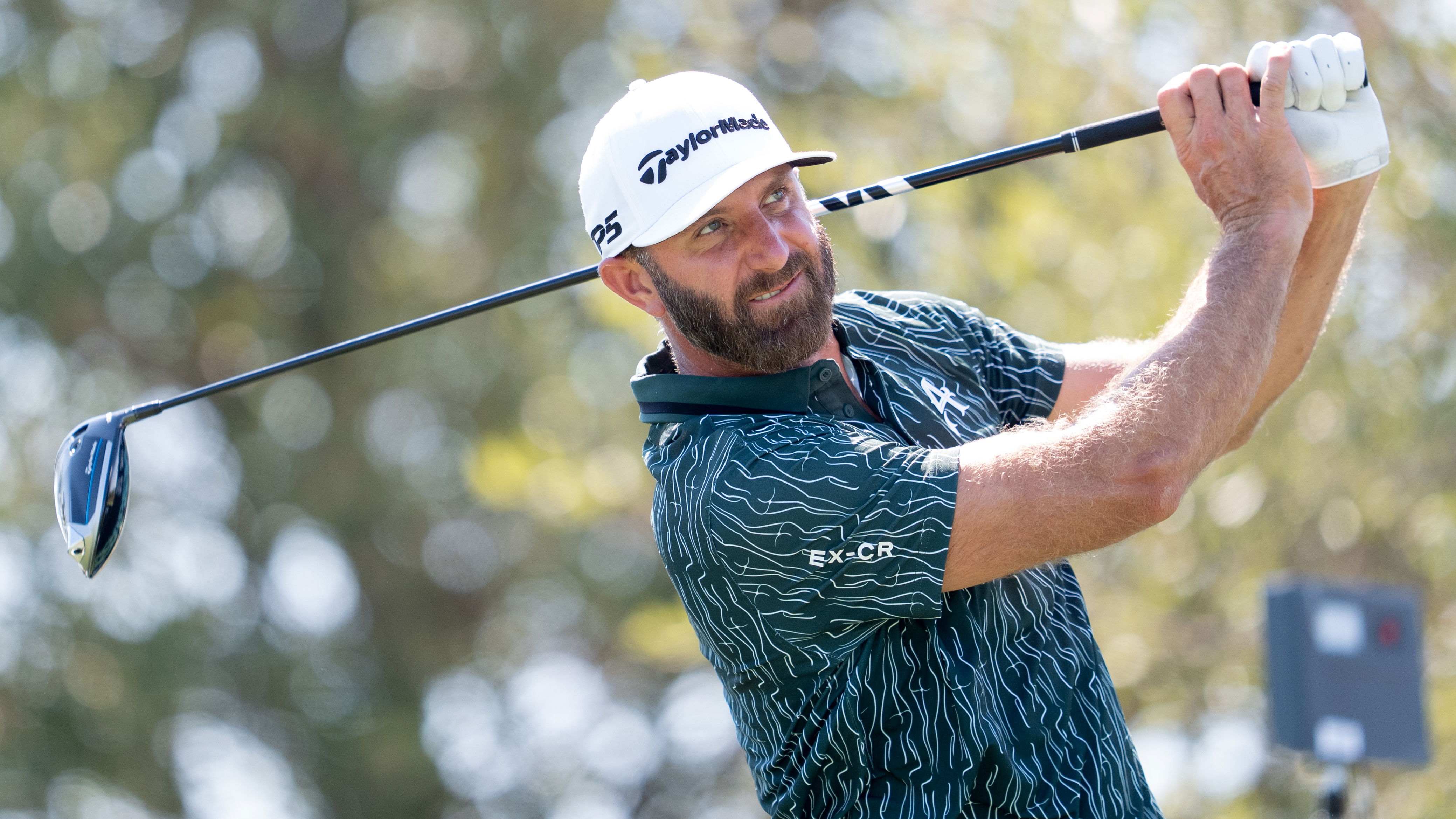 Dustin Johnson