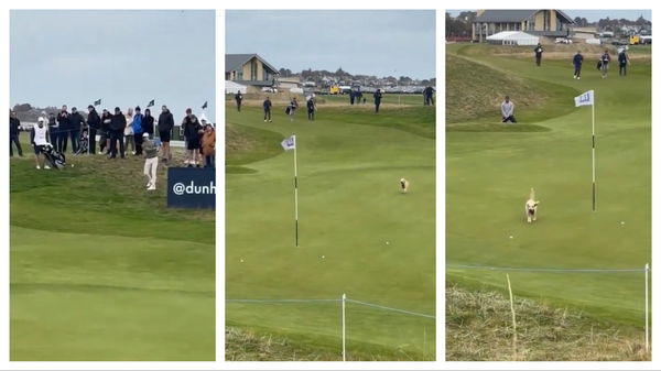 A dog ran off with Bale's golf ball