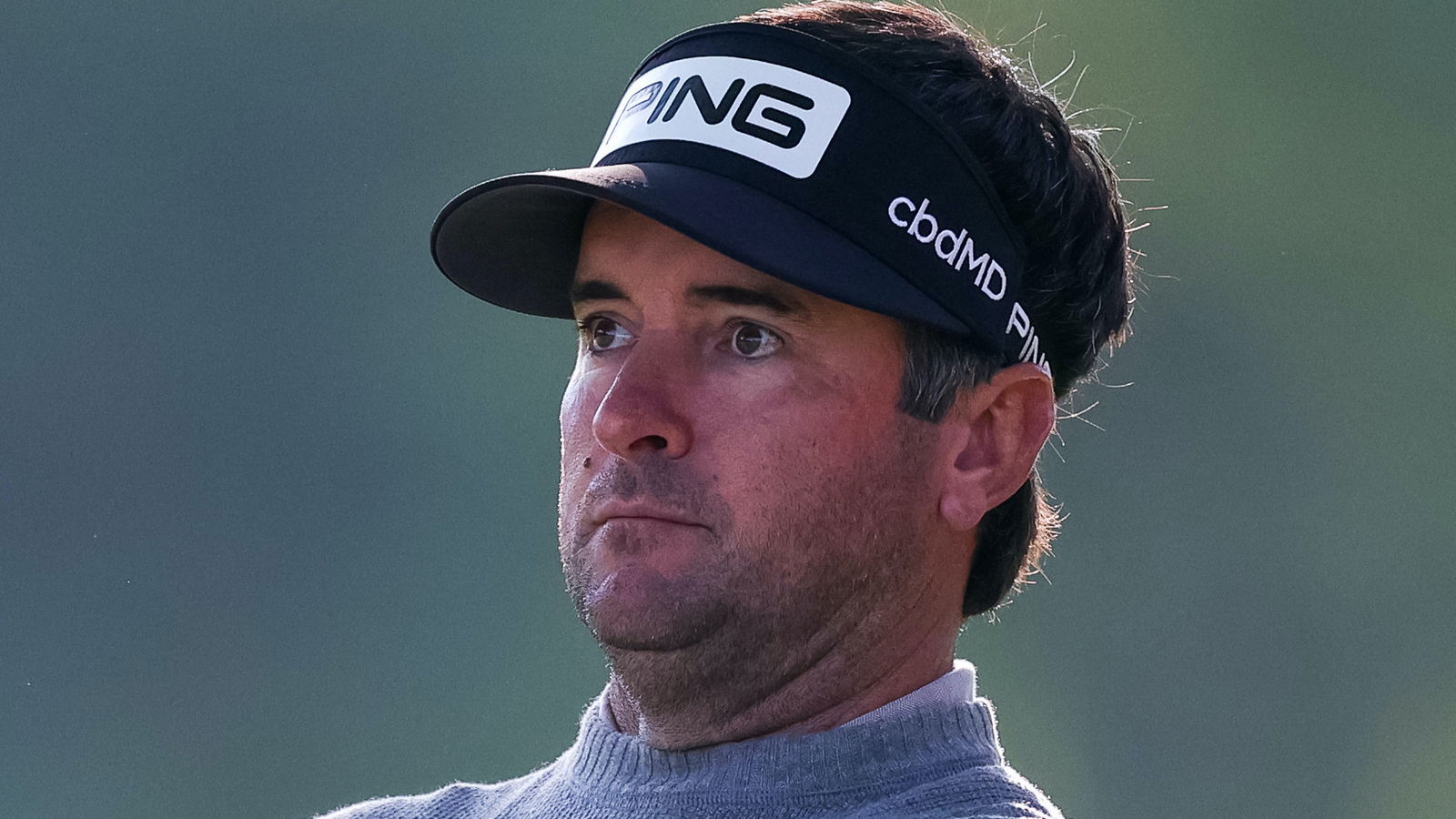 Bubba Watson 