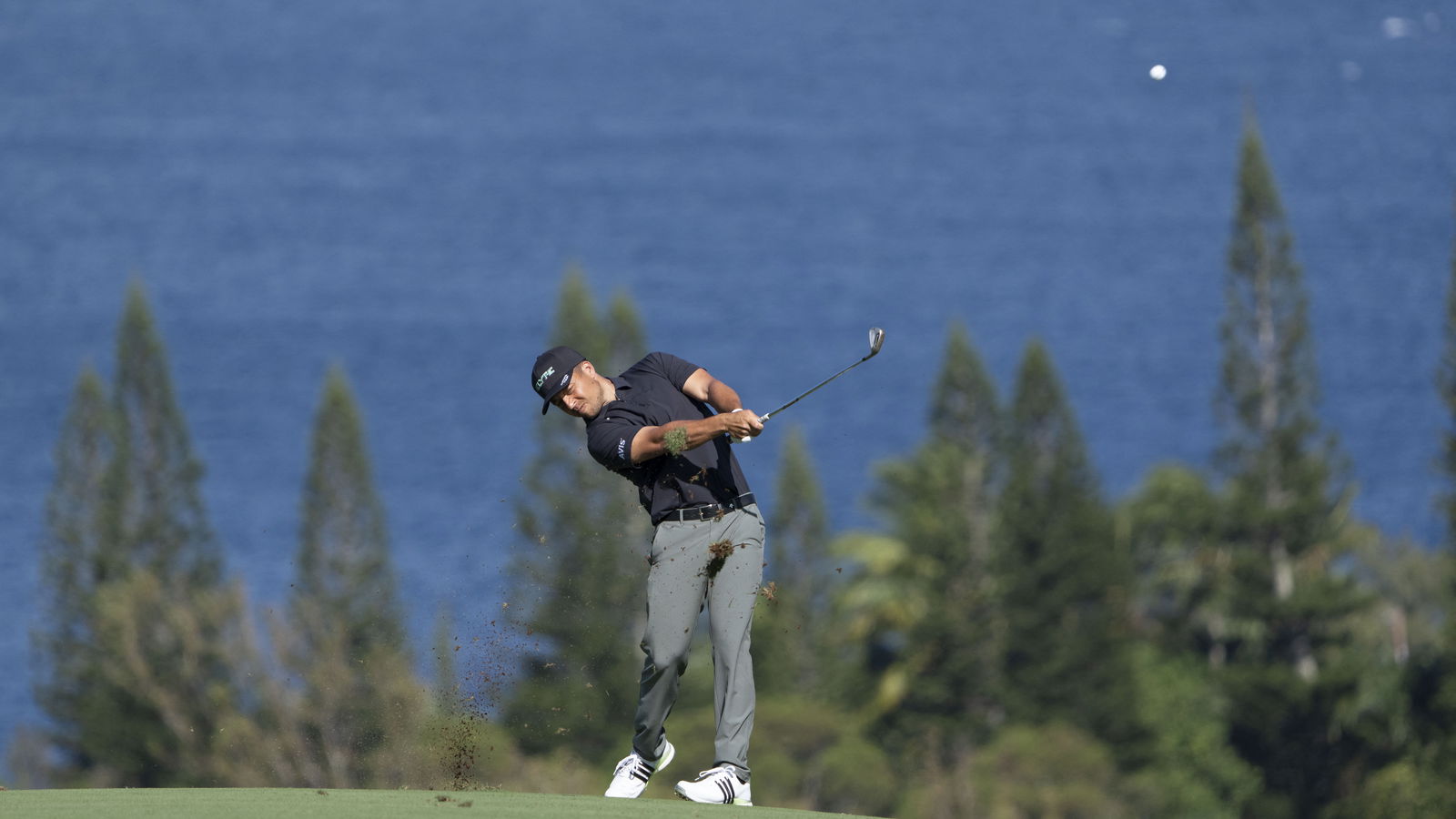 Xander Schauffele