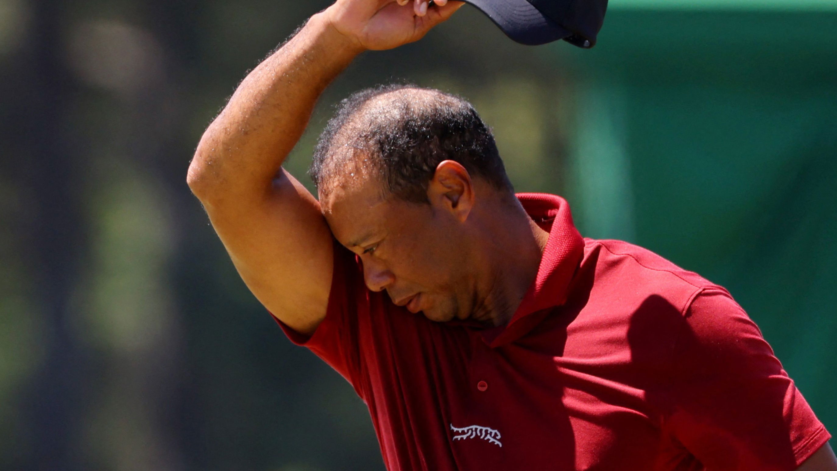 Tiger Woods