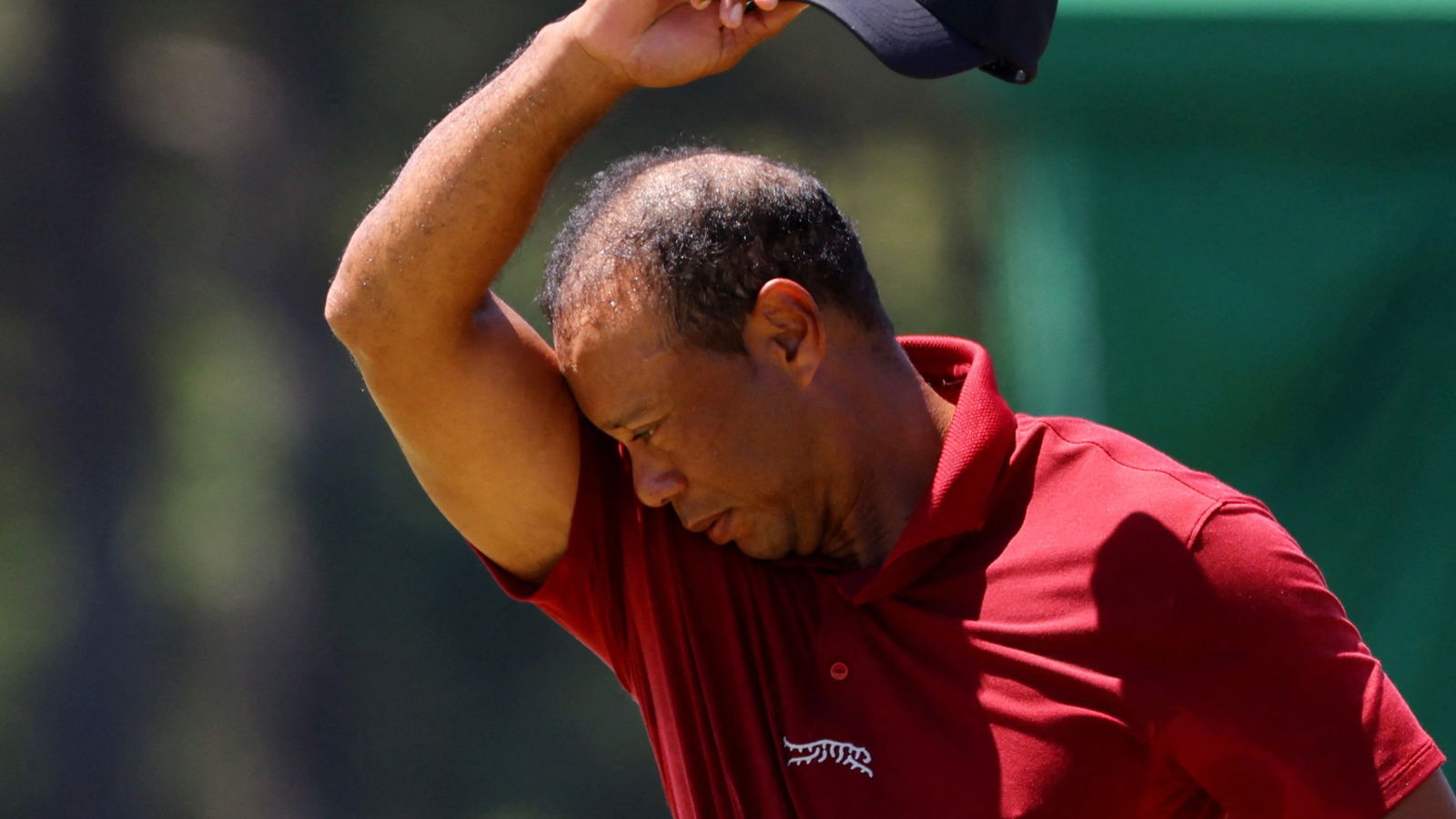 Tiger Woods