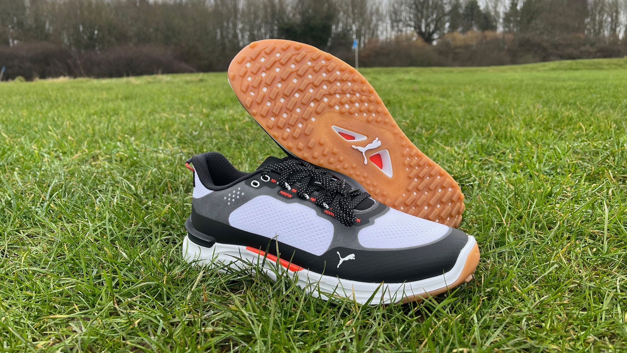 PUMA Ignite Elevate X Golf Shoes 