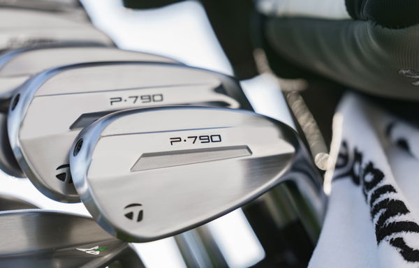 NEW TaylorMade P·790 irons