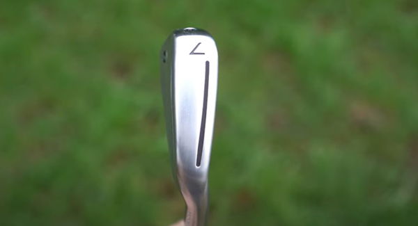 TaylorMade P790 Iron