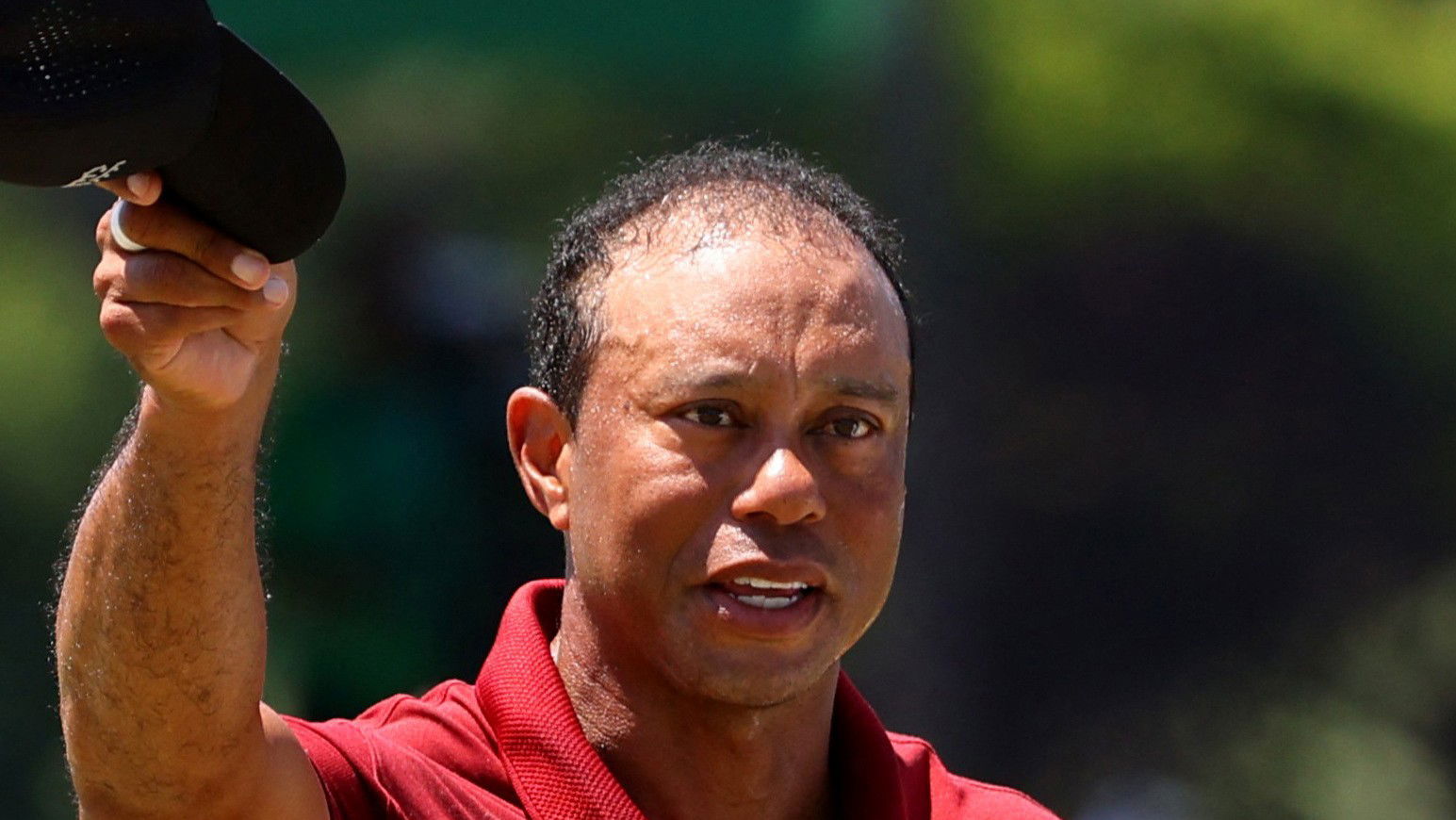 Tiger Woods