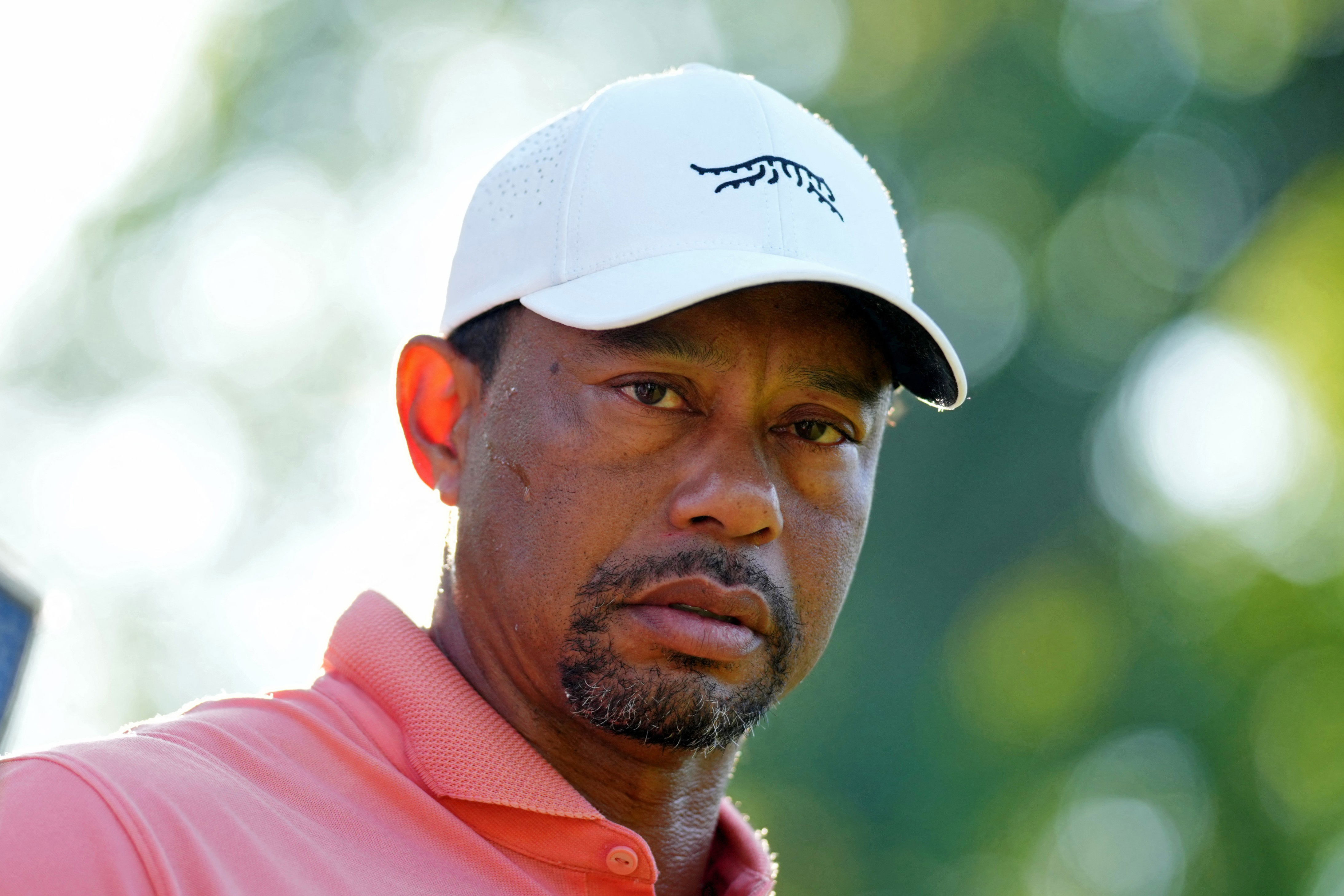 Tiger Woods