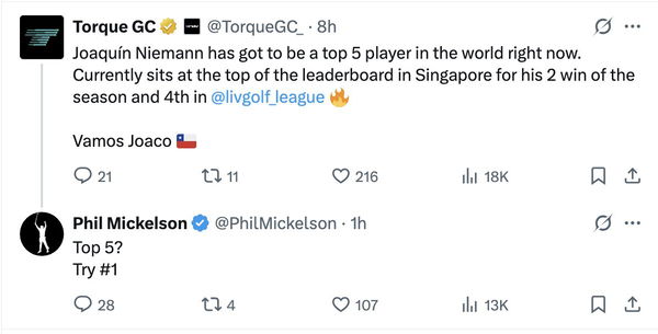 Mickelson thinks Niemann is World No.1