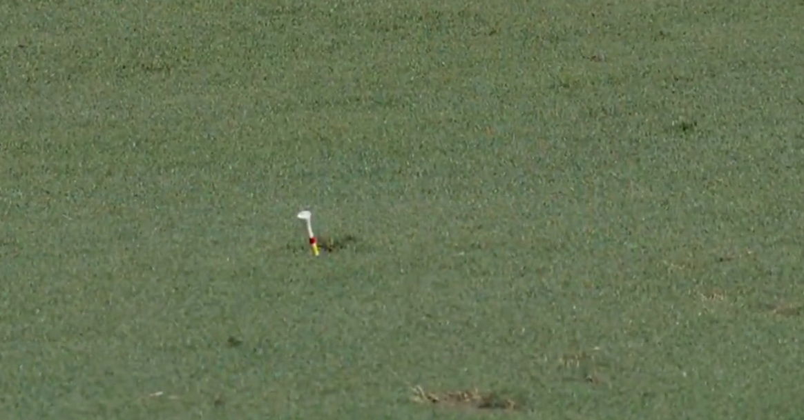 Clark's tee peg in the ground