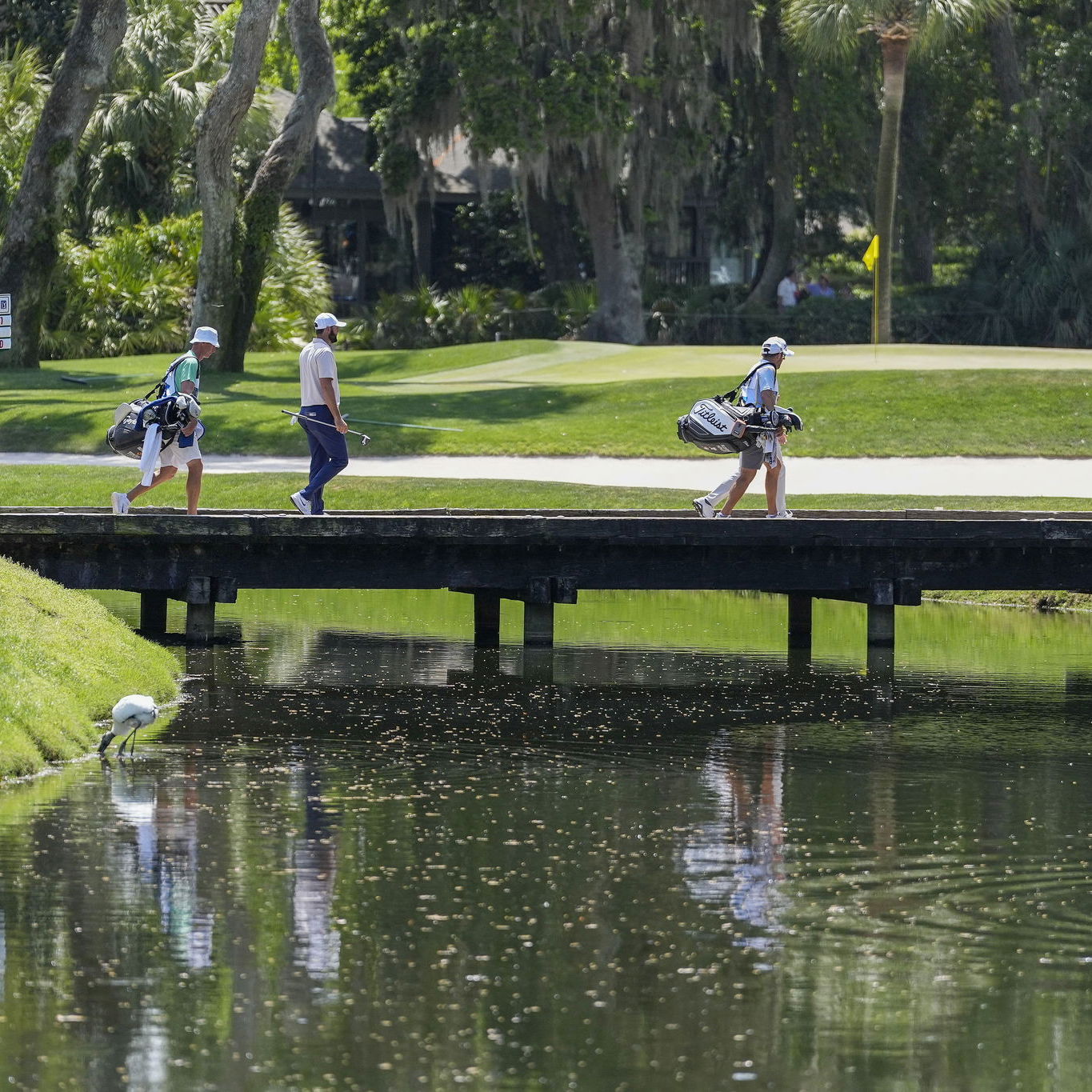 Commentator reveals personal dilemma