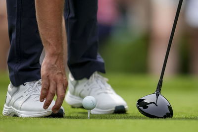 Eight players have earned US Open spots