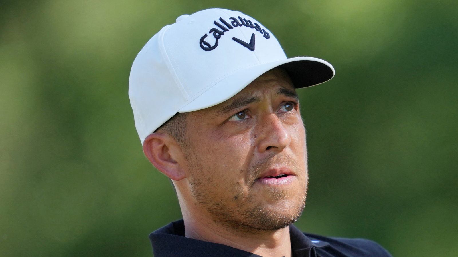 Xander Schauffele