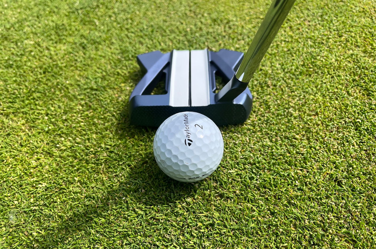 Budget-friendly Spider looks