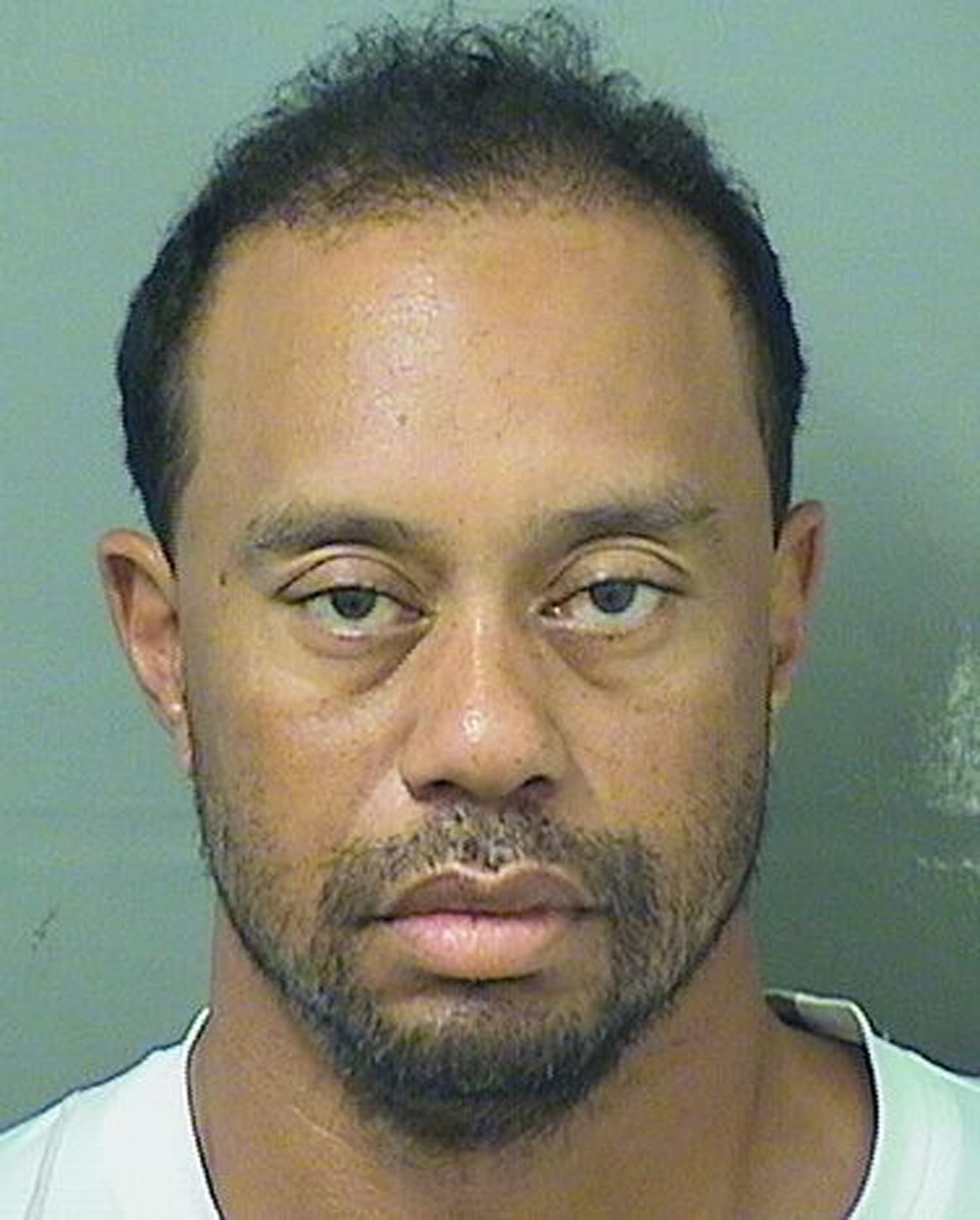Tiger Woods' mugshot