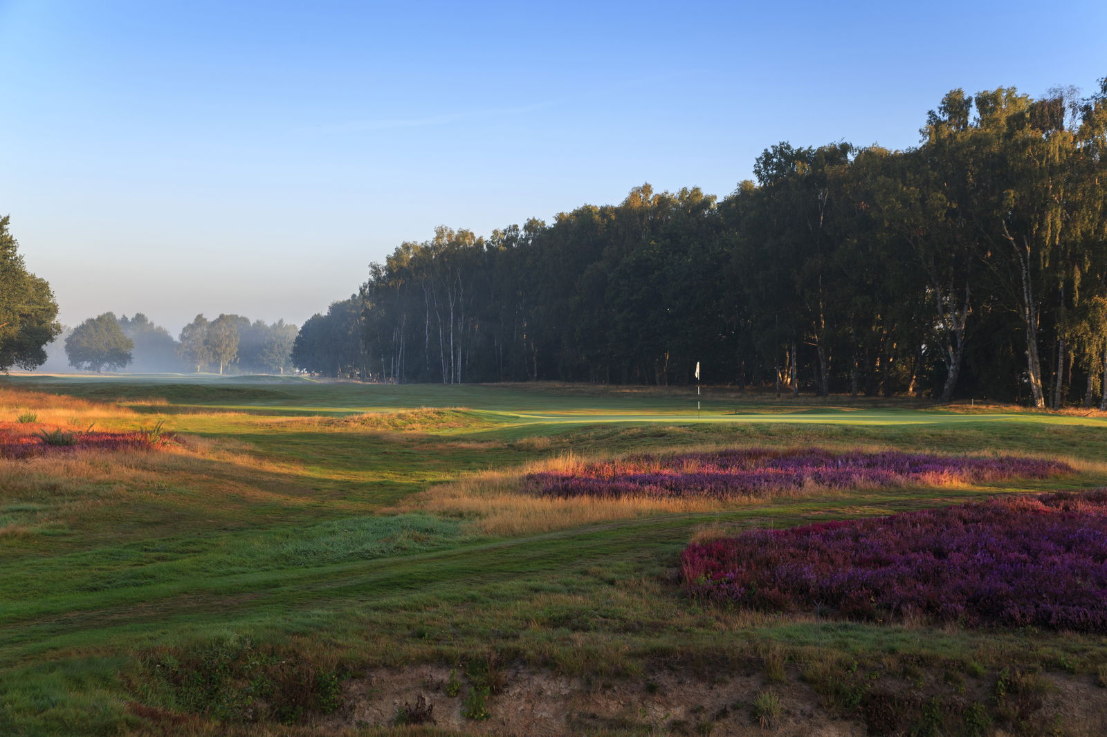 9th at Fulford GC