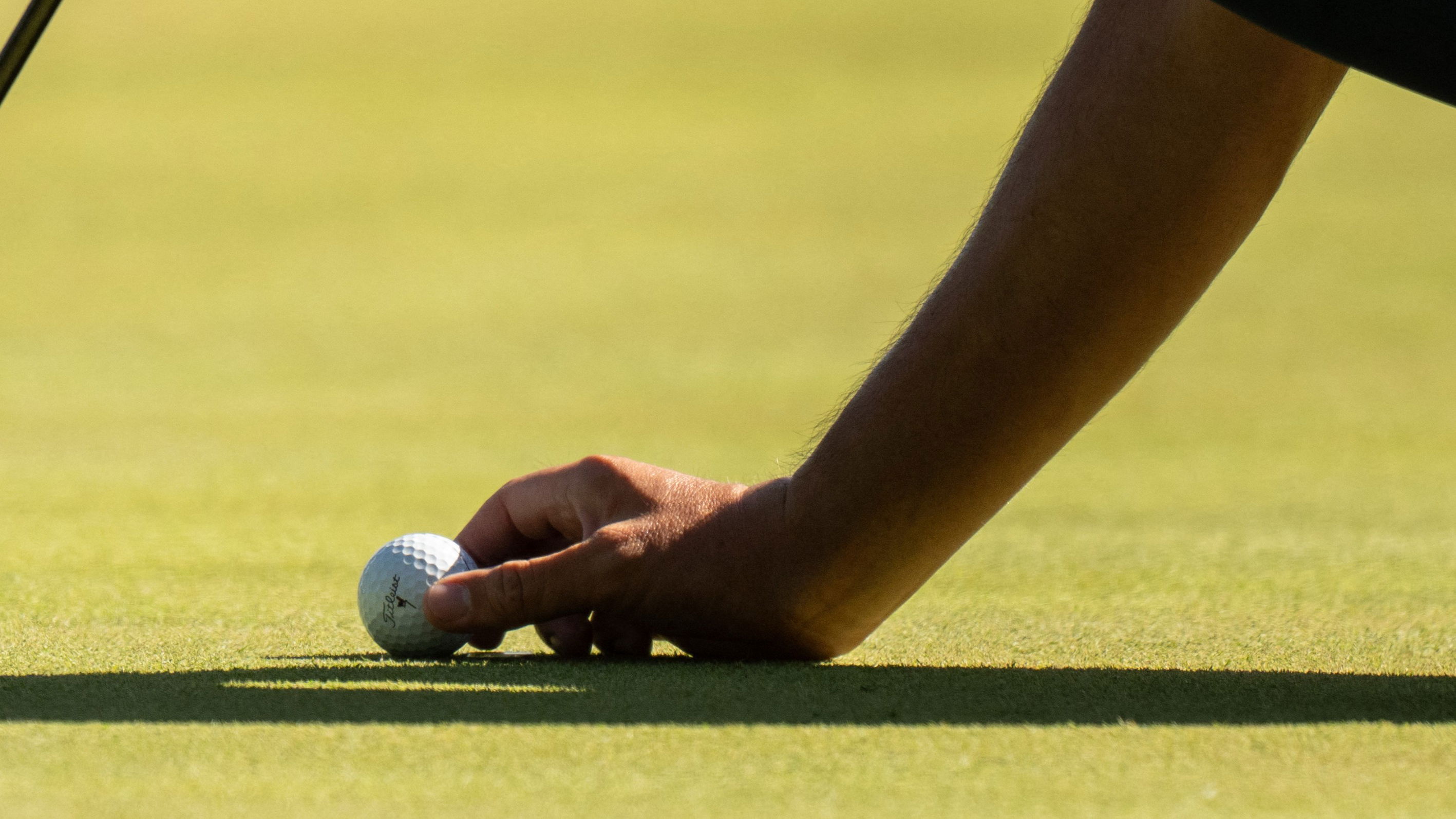 PGA Tour pro WDs from John Deere Classic