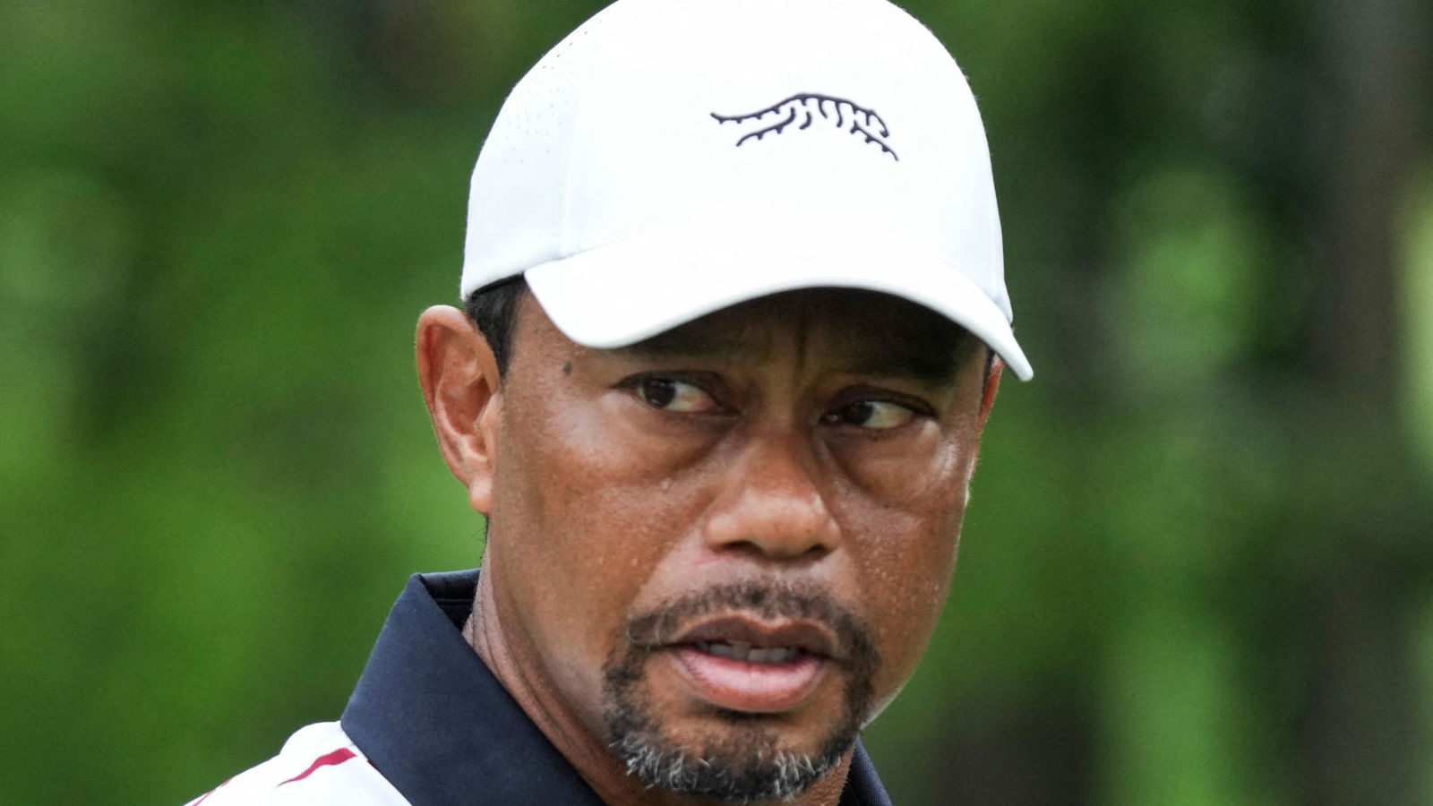 Tiger Woods