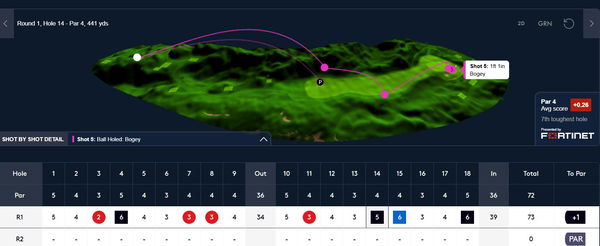 How Bairstow played the 14th