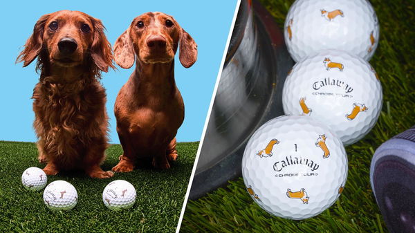Callaway National Dog Week Golf Chrome Tour