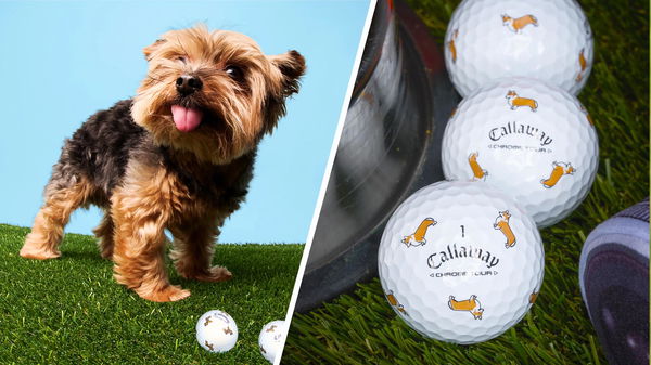 Callaway Golf National Dog Month Chrome Tour