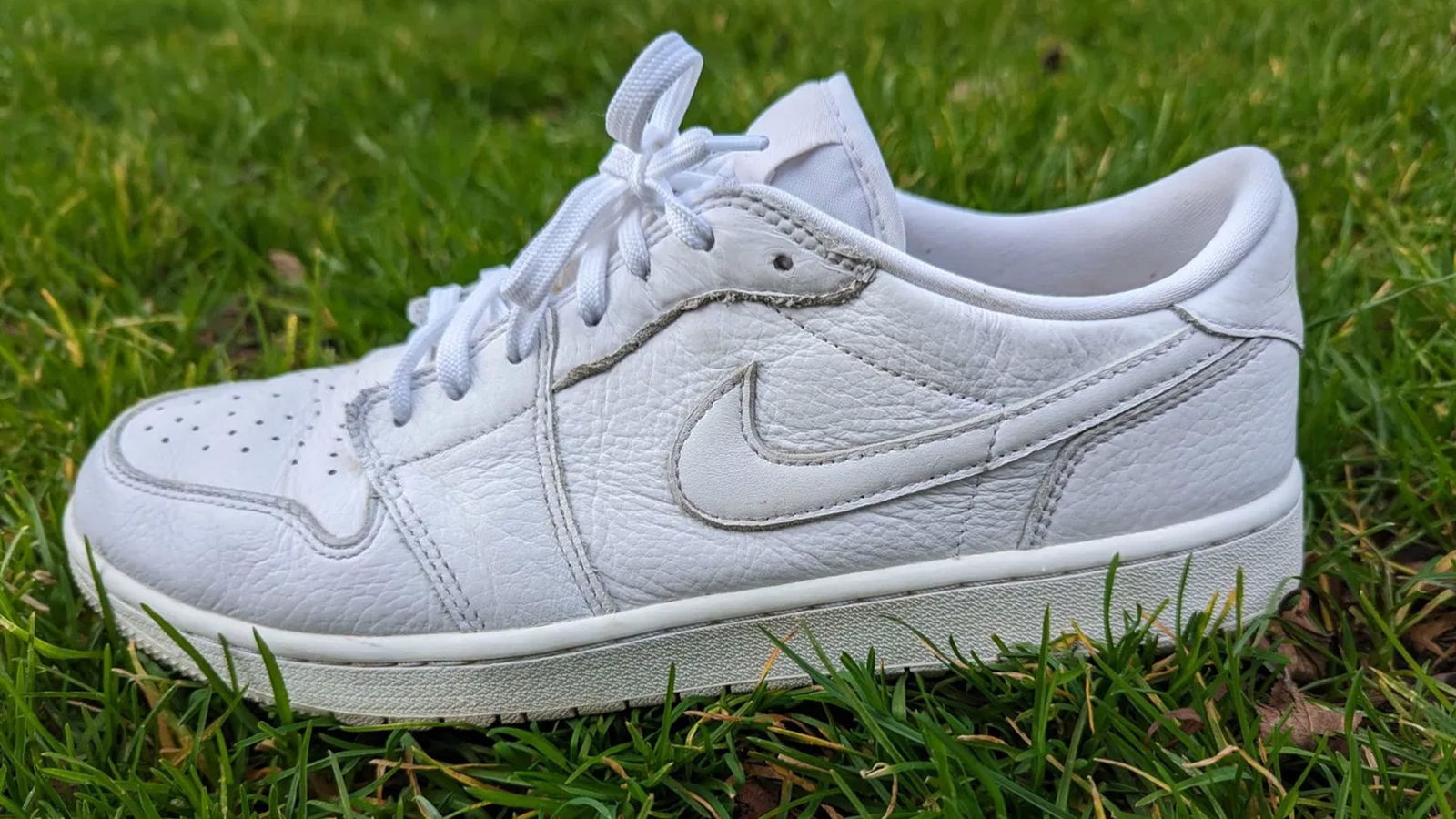 Air Jordan 1 Low G