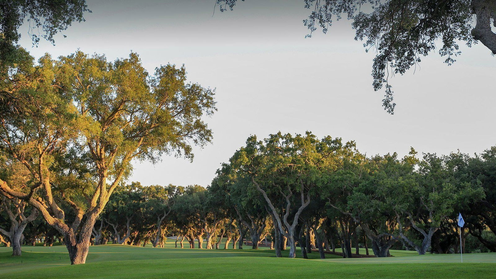 Real Club Valderrama
