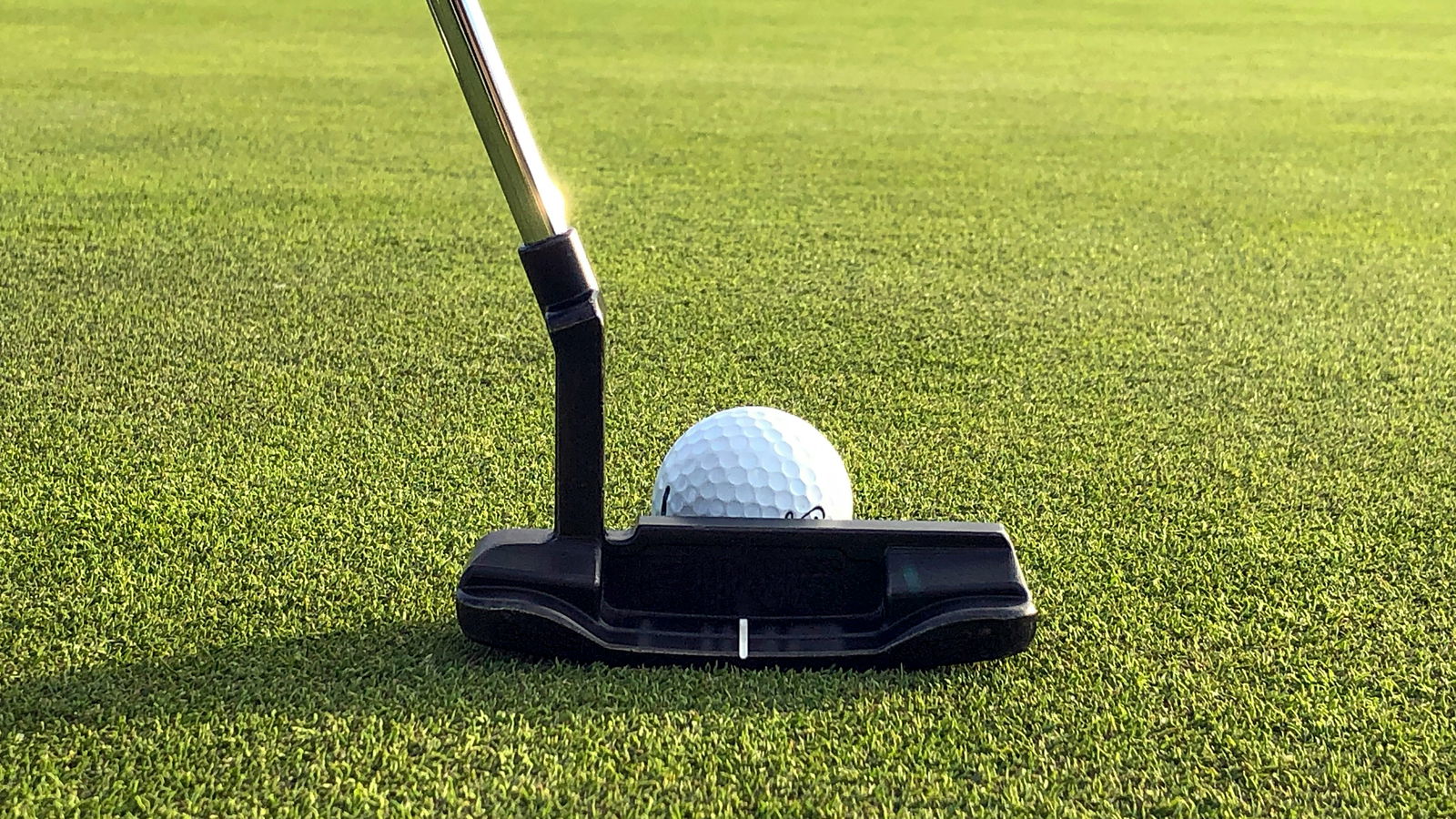 Record month for WHS™ in England