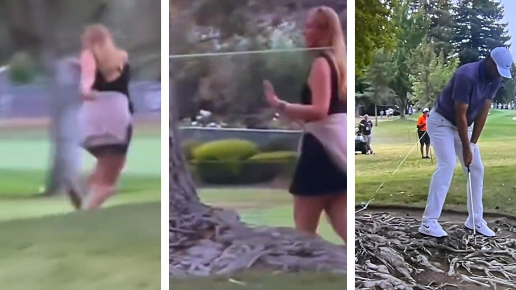 A fan apologised after getting in the way