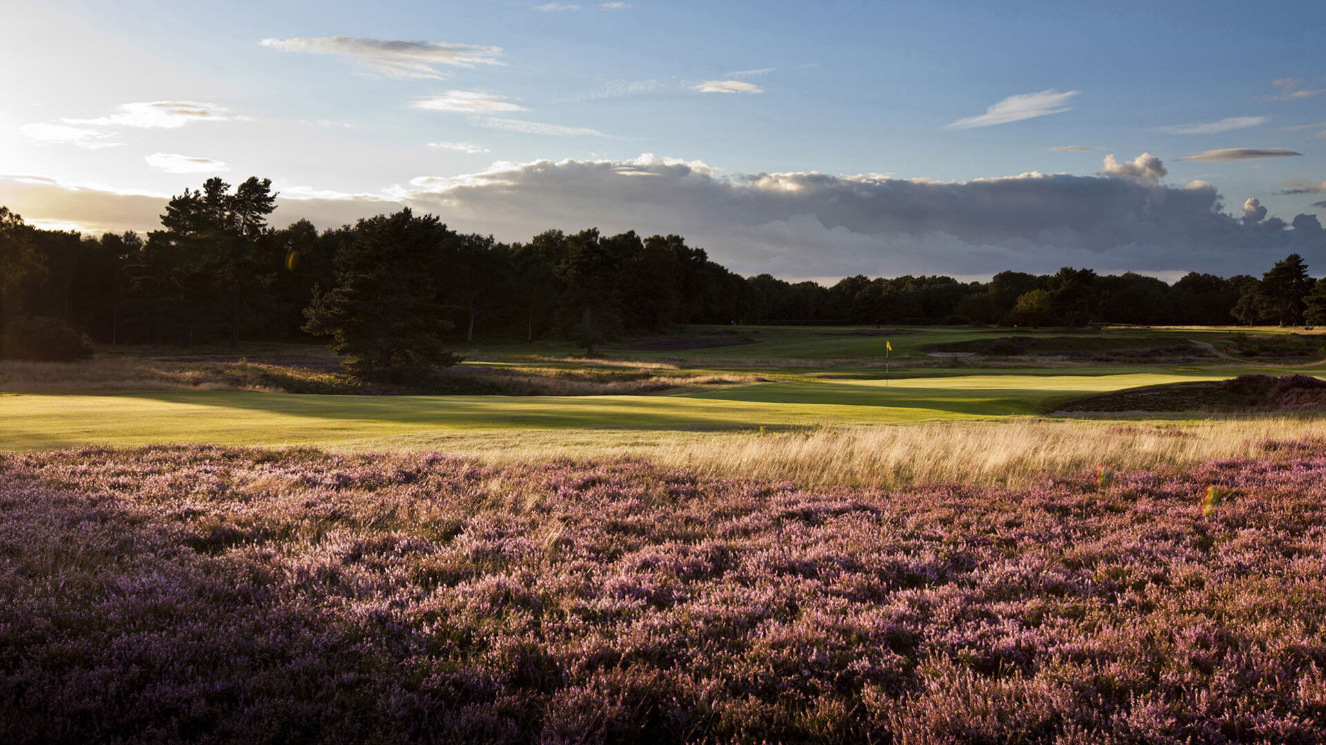 Walton Heath Golf Club