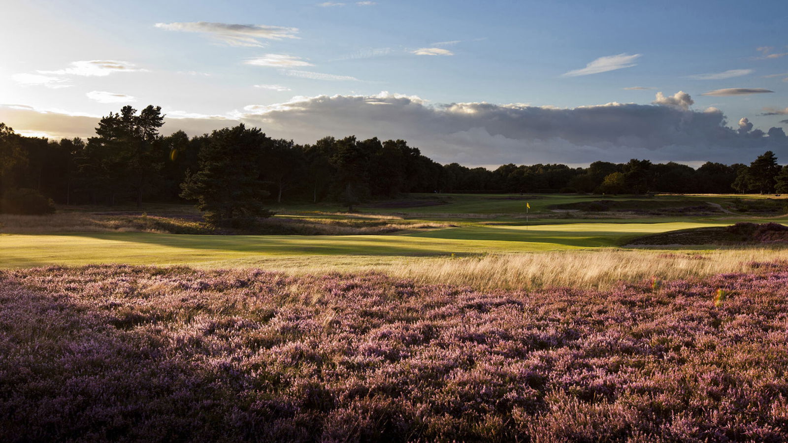 Walton Heath Golf Club
