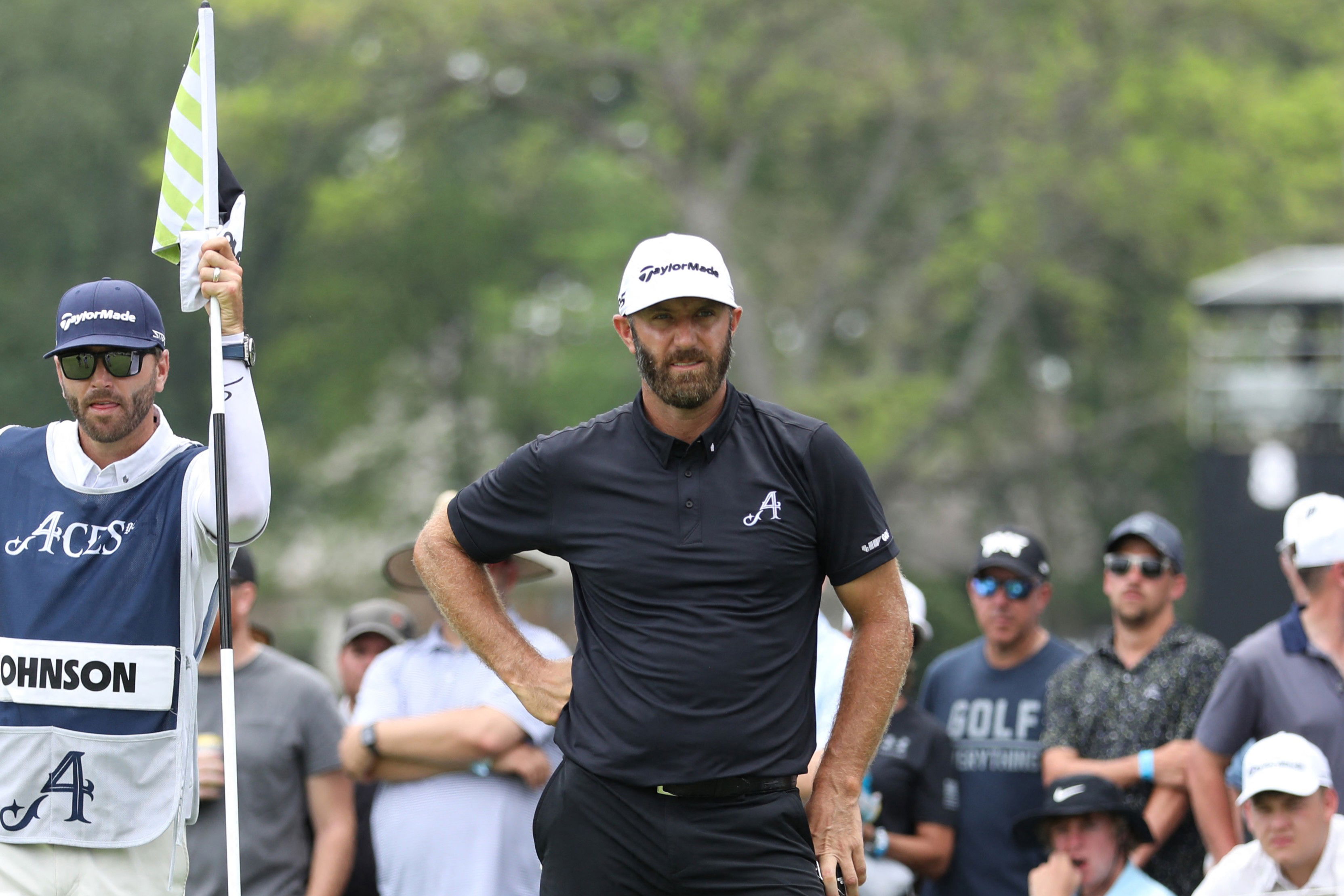 Dustin Johnson