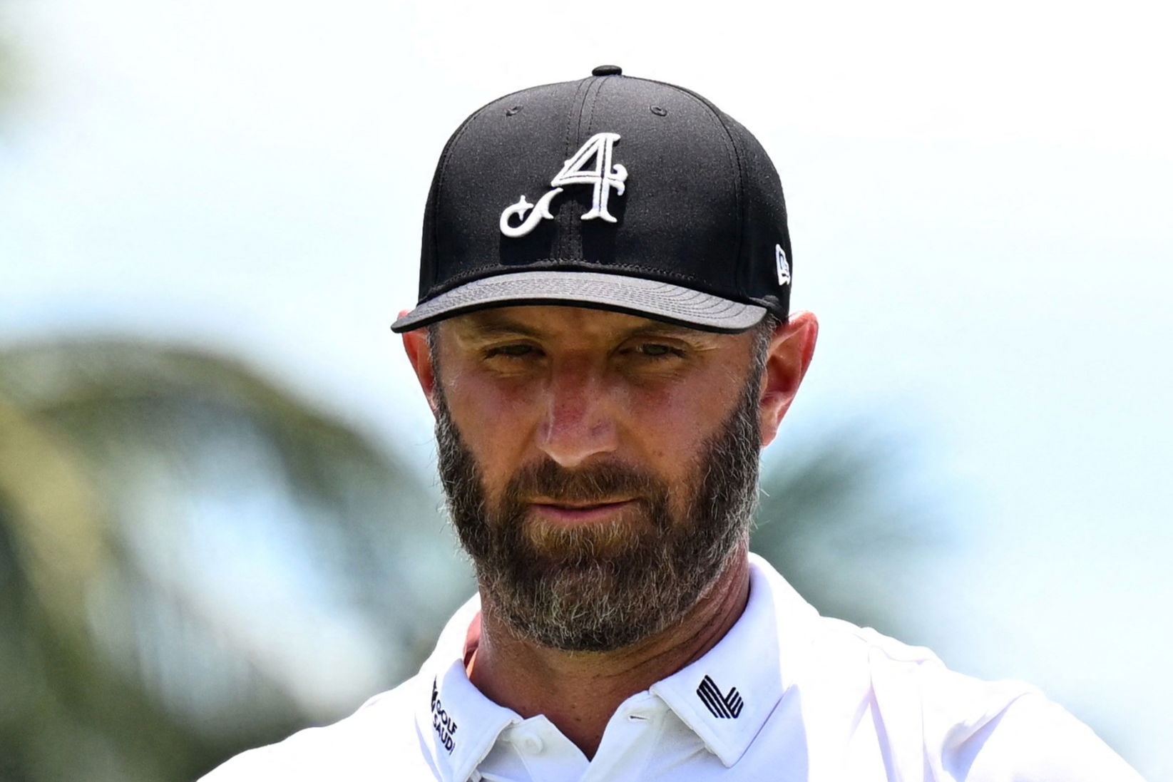 Dustin Johnson