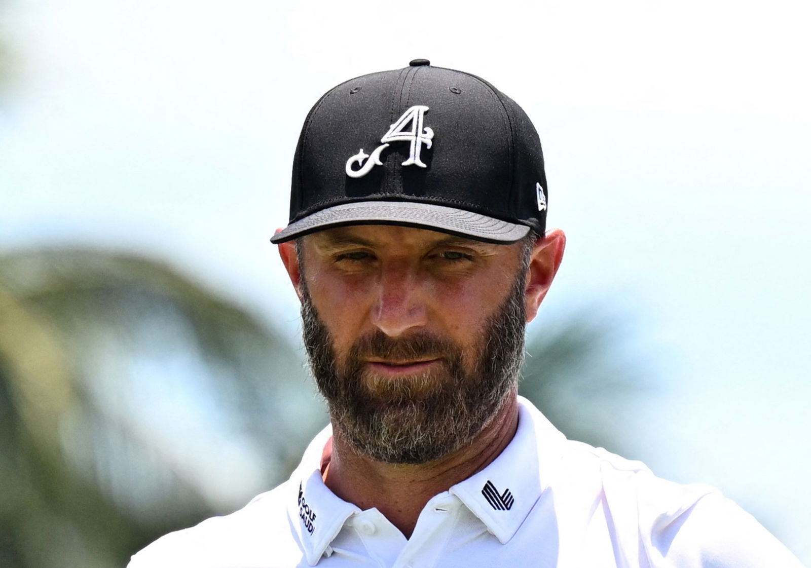 Dustin Johnson
