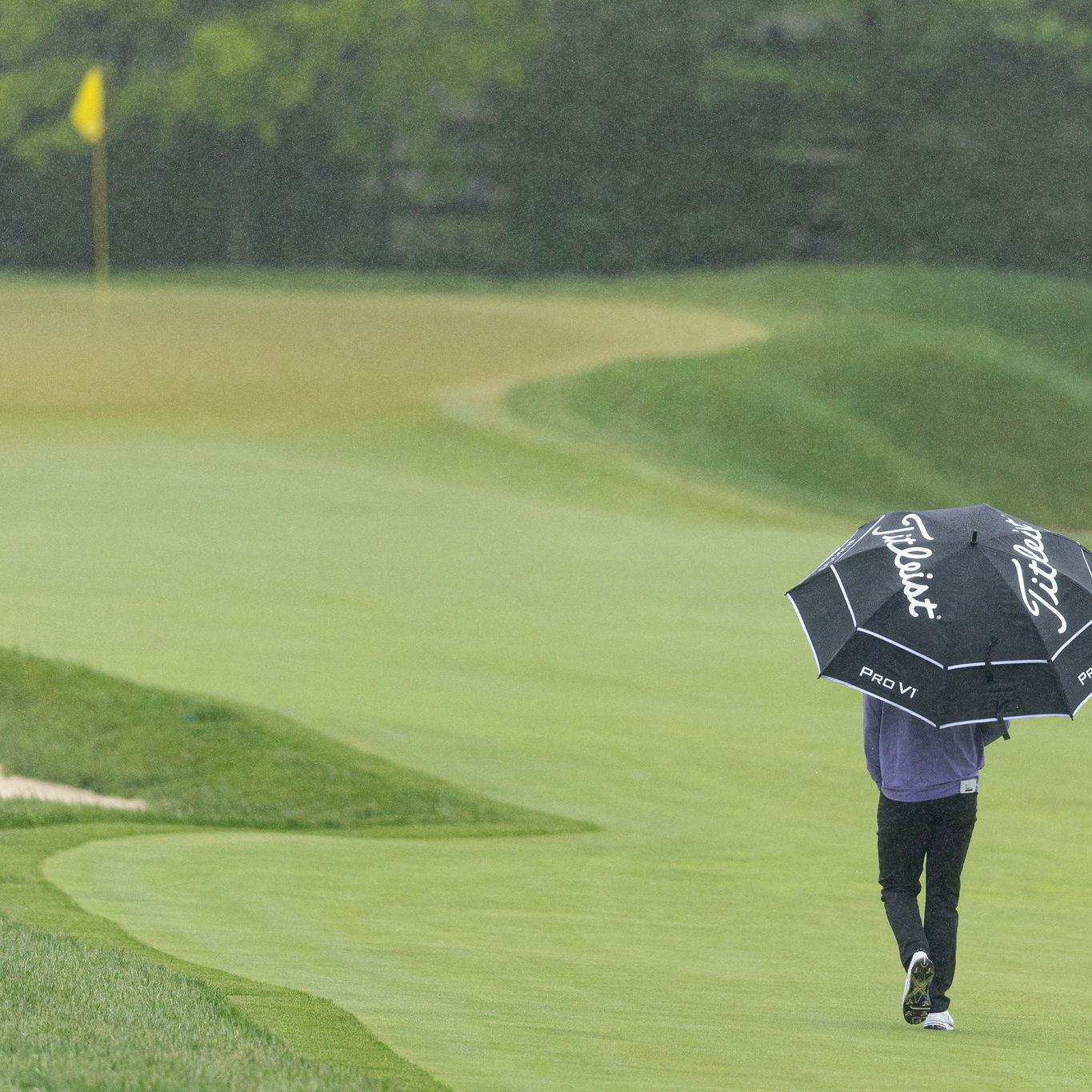 Will Zalatoris says he feels like he is over his injury woes