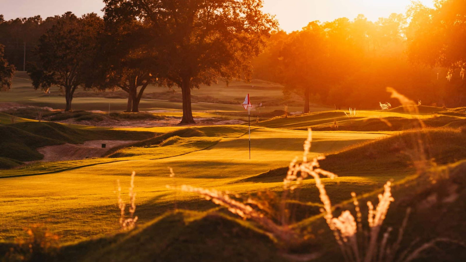 Courtesy Cabot Citrus Farms