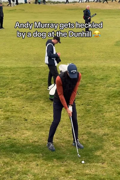 Murray heckled by dog [Insta: @HannahHoldenGolf]