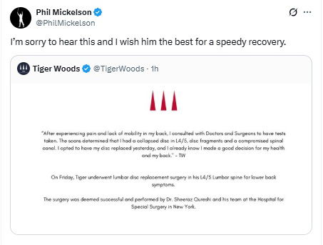 Mickelson's message for Woods